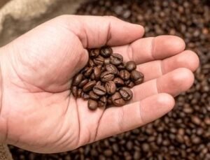 Coffee Less Acidic